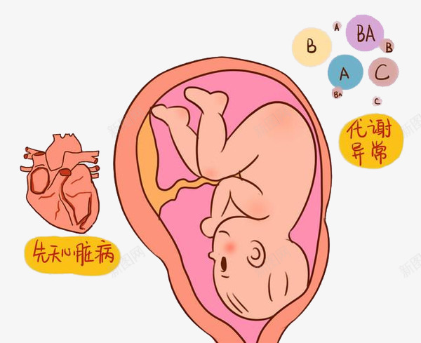 胎儿先天心脏病预测png免抠素材_新图网 https://ixintu.com 孕妈妈 心脏 胎儿 胎宝宝