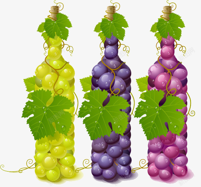装满葡萄的瓶子png免抠素材_新图网 https://ixintu.com 瓶子 绿紫红 葡萄 葡萄叶 葡萄酒