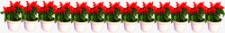 花盆盆栽红色小花朵素材