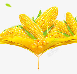 玉米食品玉米碴子粗粮食品高清图片