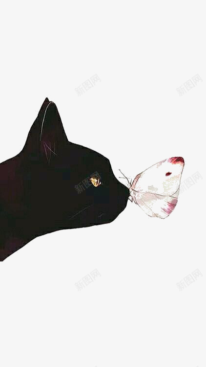 黑色宠物猫咪和蝴蝶png免抠素材_新图网 https://ixintu.com 宠物 翅膀 蝴蝶 黑色