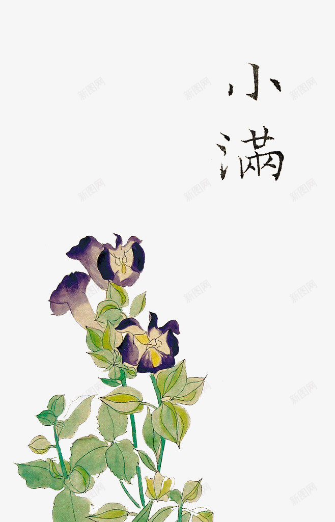 小满png免抠素材_新图网 https://ixintu.com 24节气 小满 手绘 花朵