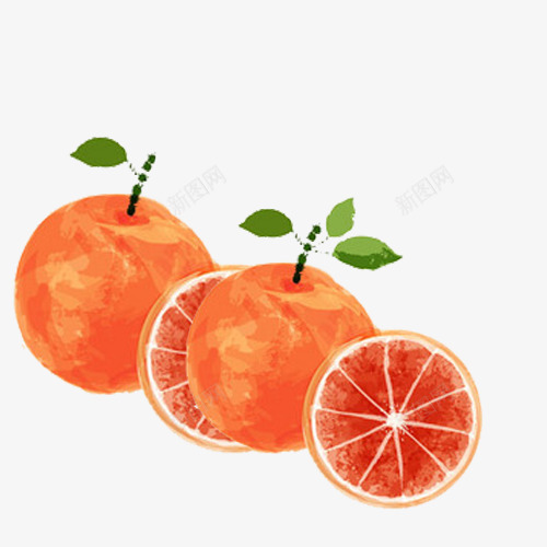 水彩红橙png免抠素材_新图网 https://ixintu.com 切开的橙子 新鲜橙子 柠檬橙子 橙子 橙子切面 橙子图片 橙子水果 橙子特写 水果 水果橙子 红肉 美味橙子 血橙 赣南脐橙 高清橙子