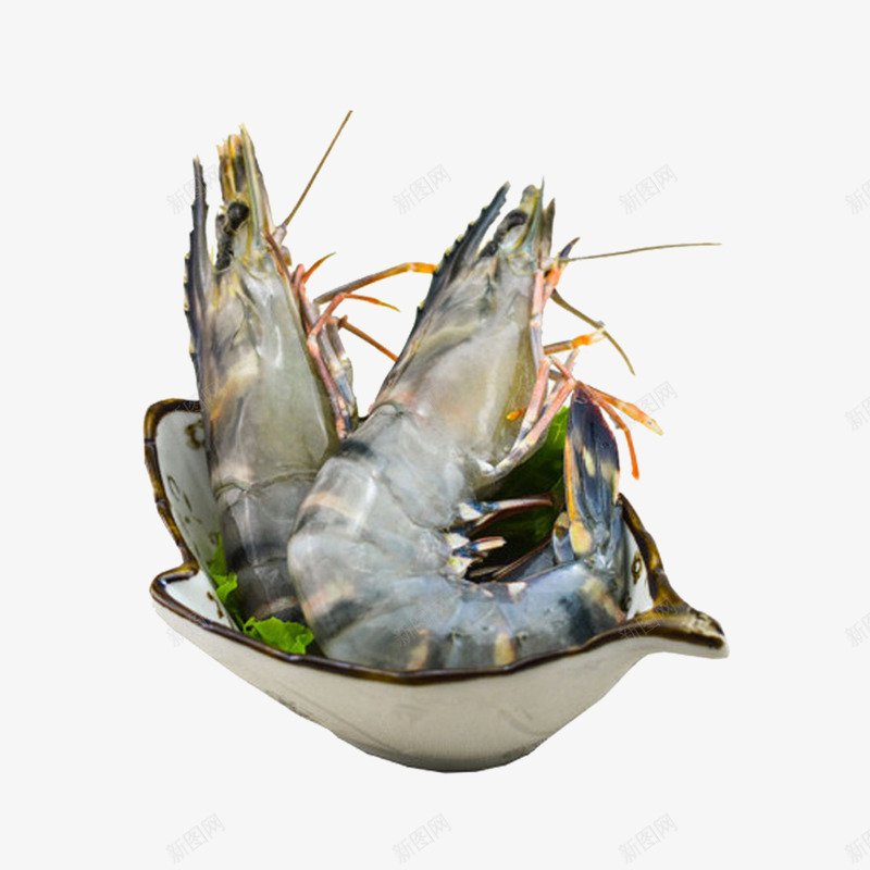 营养海虾png免抠素材_新图网 https://ixintu.com 海虾 海鲜食品 澳洲龙虾 美味虾子 虾子设计 麻辣虾 龙虾设计