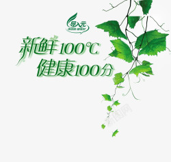 新鲜100绿叶葡萄叶新鲜100艺术字高清图片