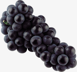 紫红葡萄一串葡萄素材