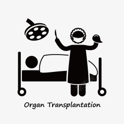 器官移植素材