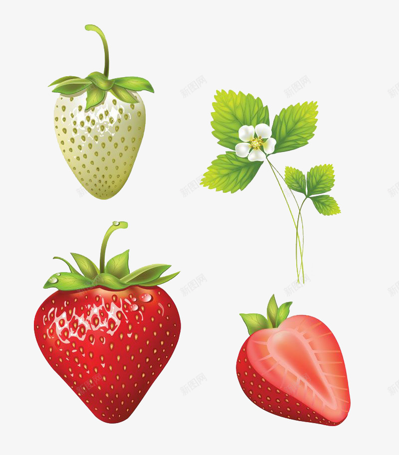 青红草莓和叶子psd免抠素材_新图网 https://ixintu.com 叶子 小花朵 白色 青红草莓