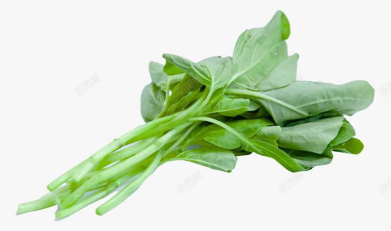 绿色新鲜菠菜png免抠素材_新图网 https://ixintu.com 产品实图 新鲜 绿色 菠菜