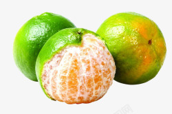 绿色橘子素材