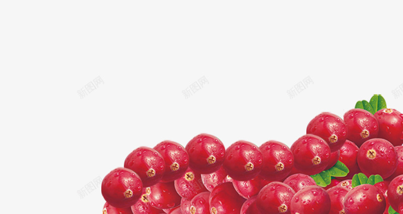 纯天然蔓越莓食品海报png免抠素材_新图网 https://ixintu.com 新鲜水果 红色 纯天然 蔓越梅 蔓越莓 蔬果 食品海报