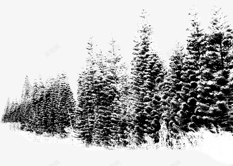创意合成效果下雪大树森林png免抠素材_新图网 https://ixintu.com 下雪 创意 合成 大树 效果 森林