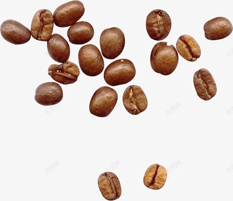 棕色咖啡豆png免抠素材_新图网 https://ixintu.com 咖啡豆 咖啡豆素材 漂亮咖啡豆