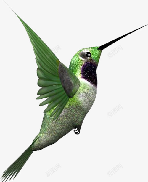 一只飞翔的鸟png免抠素材_新图网 https://ixintu.com 张开翅膀的鸟 绿色的鸟 鸟 鸟类