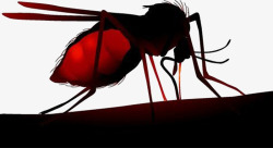 红色蚊子蚊子吸血高清图片