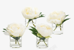 单支玫瑰玻璃瓶插花素材