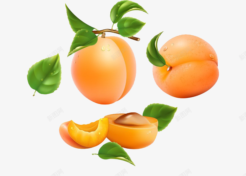 新鲜的成熟黄桃png免抠素材_新图网 https://ixintu.com 新鲜 维生素 绿叶 黄桃