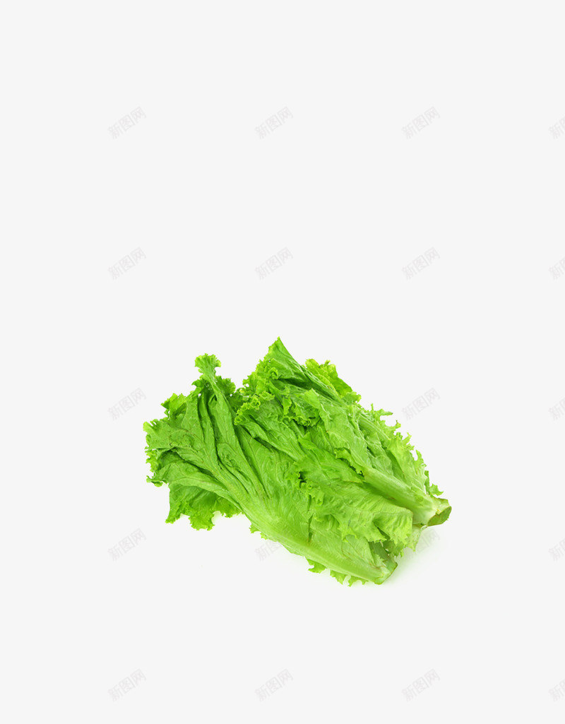 实物绿色蔬菜生菜png免抠素材_新图网 https://ixintu.com 产品实物 新鲜生菜 生菜 生菜叶 绿色 蔬菜