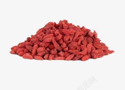 红色新鲜枸杞养生素材