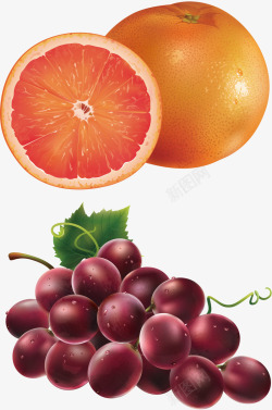 橘子葡萄水果矢量图素材