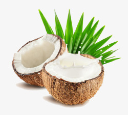新鲜椰子水实物素材
