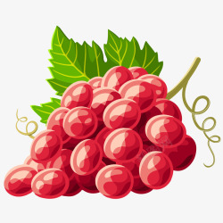 美味葡萄节一串带叶子的红葡萄矢量图高清图片