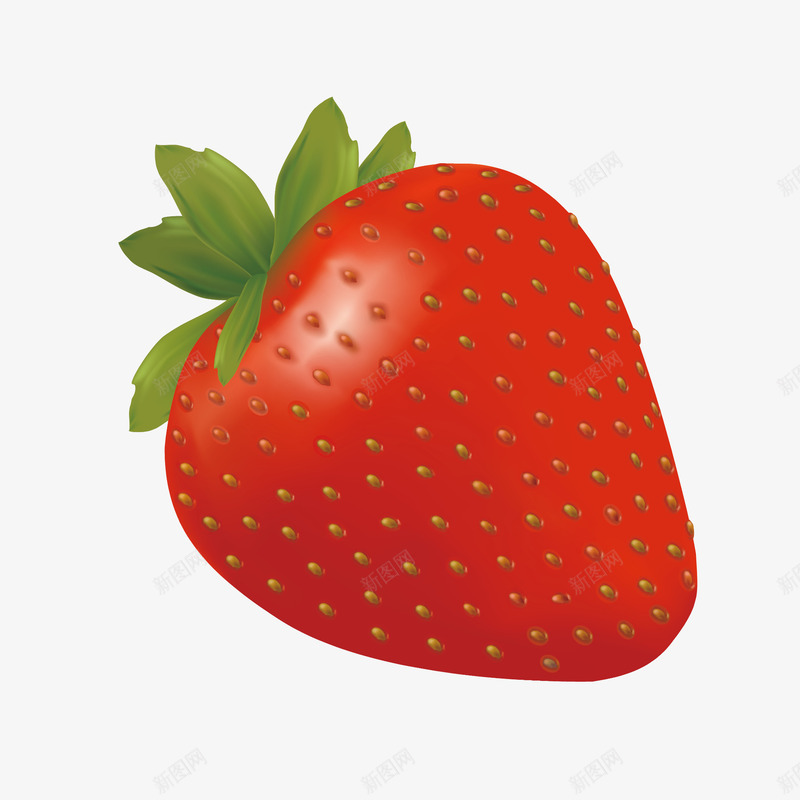 手绘红色新鲜草莓png免抠素材_新图网 https://ixintu.com png免抠图 创意 卡通 多汁 手绘 新鲜 时尚 水果 草莓