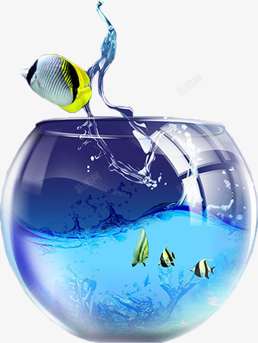 玻璃鱼缸png免抠素材_新图网 https://ixintu.com 养鱼 水缸 水草 透明玻璃 金鱼 鱼缸