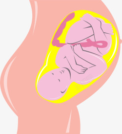 肚子里的宝宝孕妇肚子里的宝宝高清图片