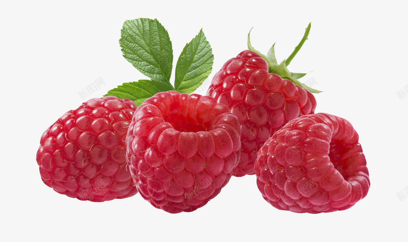 草莓png免抠素材_新图网 https://ixintu.com 新鲜野生草莓 红色野果 红莓果 野果 野生草莓