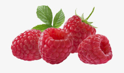 红色野果草莓高清图片