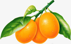 水果营养露珠新鲜橘子素材