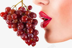 吃葡萄吃葡萄清高清图片