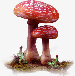 红色新鲜蘑菇卡通素材