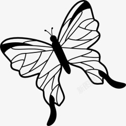 左视图蝴蝶翅膀上有精美的角度旋转到左图标高清图片