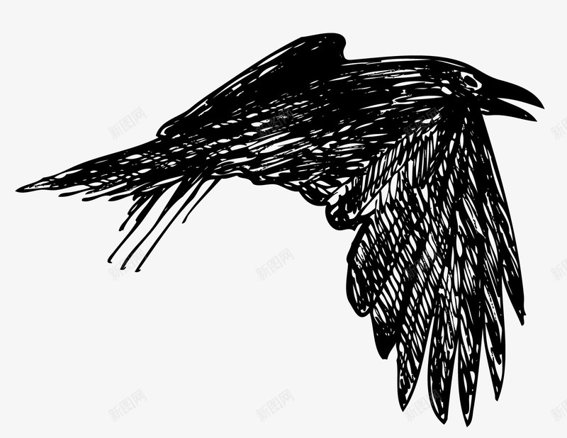 忽闪翅膀的鸟png免抠素材_新图网 https://ixintu.com 乌鸦 乌鸦飞过 动物 翅膀 飞翔的乌鸦 黑乌鸦