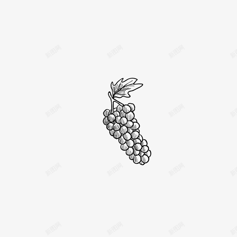 葡萄矢量图图标ai_新图网 https://ixintu.com 手绘水果 矢量图 素描 葡萄 黑白水果