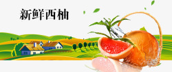 柚子果园新鲜西柚海报高清图片