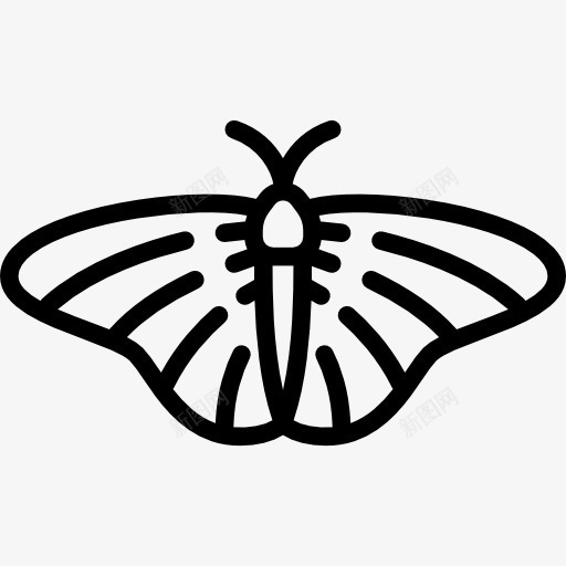 蝴蝶图标png_新图网 https://ixintu.com 动物 昆虫 漂亮的翅膀