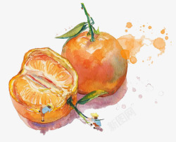 水彩画作柑橘色彩写生画高清图片