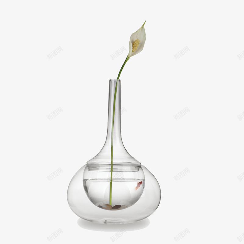 玻璃花瓶png免抠素材_新图网 https://ixintu.com 圆形花瓶 瓷花瓶 花瓶