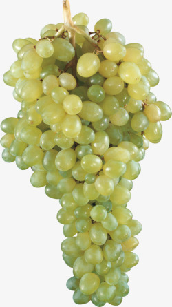 一串葡萄绿葡萄水果素材