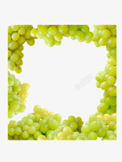 葡萄组成的边框素材