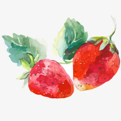 草莓果实新鲜草莓水彩插画矢量图高清图片
