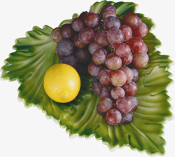 葡萄柠檬水果植物素材