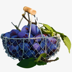美味葡萄节一篮紫蓝色的葡萄矢量图高清图片