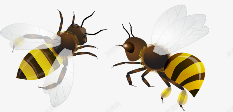 飞行的小蜜蜂png免抠素材_新图网 https://ixintu.com 小蜜蜂 昆虫 翅膀 蜂类 飞行 黄色