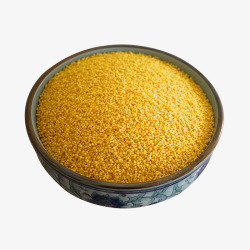 新鲜黄小米实物展示图素材