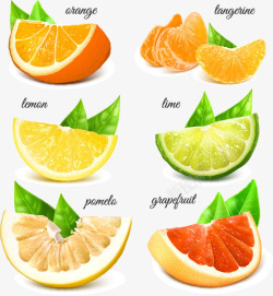 切开面美味的柠檬水果矢量图高清图片