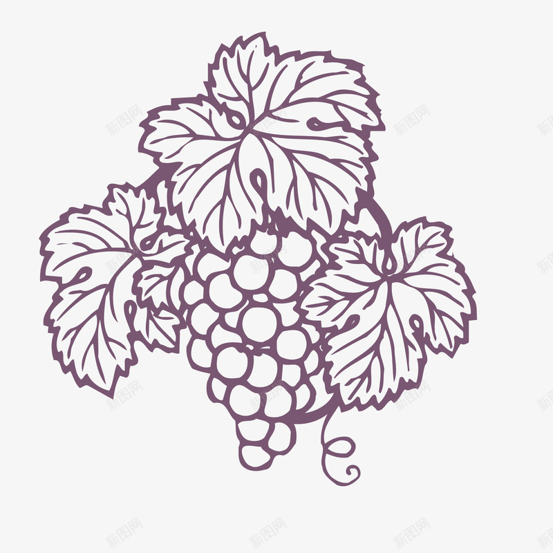 创意葡萄矢量图图标ai_新图网 https://ixintu.com 卡通提子 卡通葡萄 平面设计 手绘葡萄 手绘食物 水果设计 矢量图 葡萄采摘